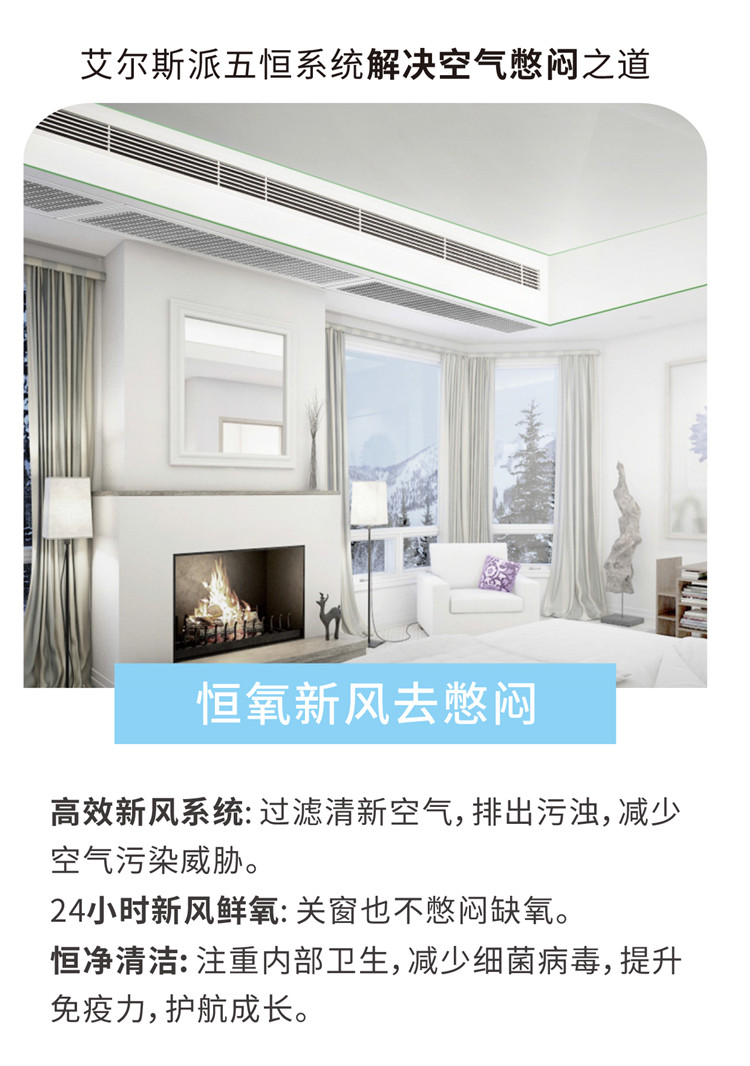 艾爾斯派AI五恒系統(tǒng)09.jpg